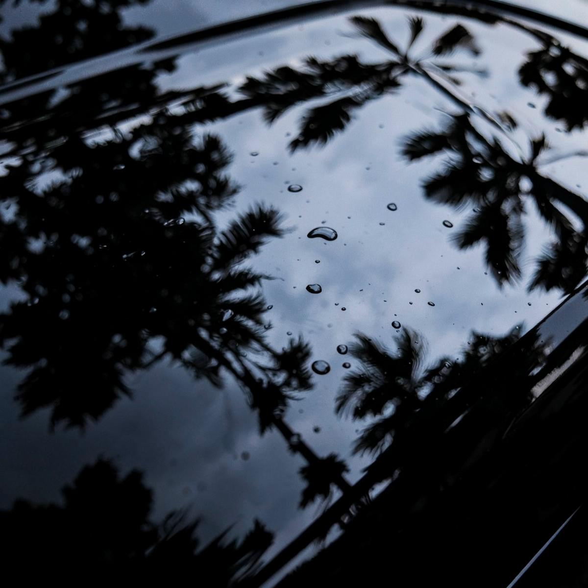 Car paint after detailing, deep gloss finish